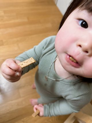 밸런스 다이어트랩 밸다랩 발아통밀 수제간식 살빼로 70g X 5봉 — 5점을 준 리뷰어가 2023년 4월 올린 사용 사진