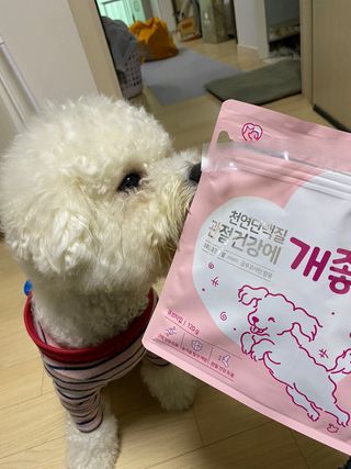 My Pet Care 천연단백질 관절건강에 개좋아 — 5점을 준 리뷰어가 2021년 2월 올린 사용 사진