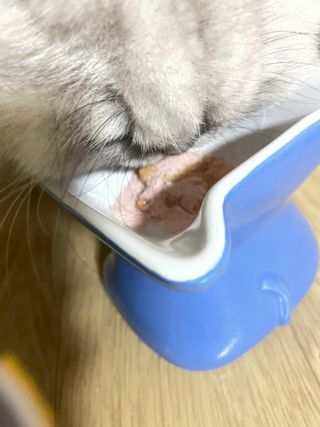 럽S하3님이 올린 리뷰 사진 4