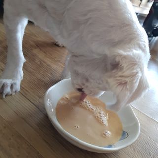 엘비스님이 올린 리뷰 사진 1