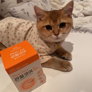 백설님이 올린 리뷰 사진 2