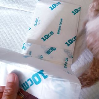 아베크 펫 와이드 프리미엄 대형 애견 강아지 배변 패드 30매 1팩 80g — 5점을 준 리뷰어가 2021년 7월 올린 사용 사진