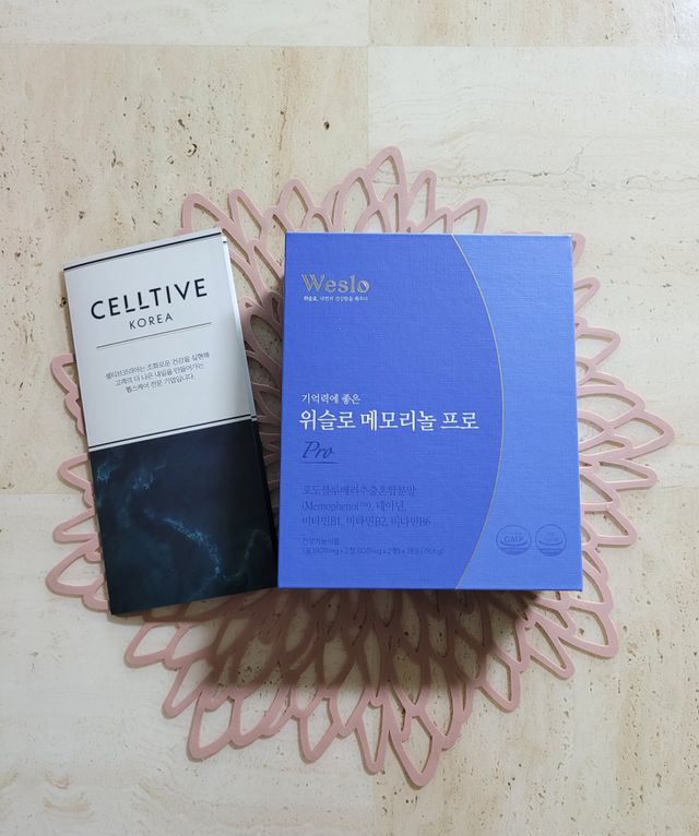 위슬로 메모리놀 프로 리뷰 사진