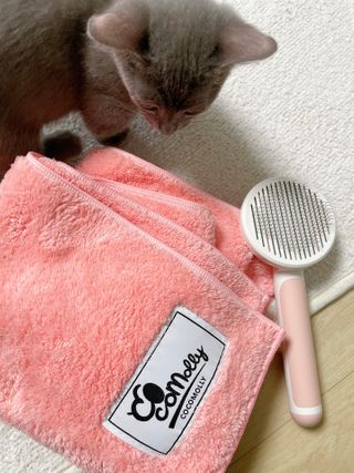 햄미이모님이 올린 리뷰 사진 2
