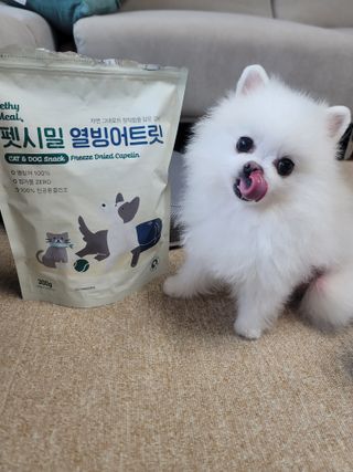 [펫시밀] 원물그대로 영양듬뿍 동결건조 왕북어트릿300g,왕치킨트릿400g,열빙어트릿300g 대용량 간식 — 5점을 준 리뷰어가 2023년 5월 올린 사용 사진