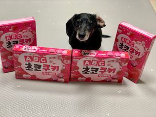 콩이누나님이 올린 리뷰 사진 1