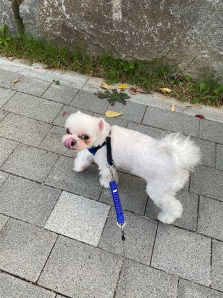 awedana님이 올린 리뷰 사진 2