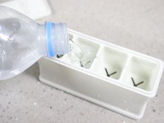 니디즈 포트아이스 2단 밀폐 실리콘 얼음틀 — 5점을 준 리뷰어가 2023년 1월 올린 사용 사진