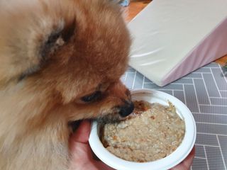 꼬마마녀와꼬망마님이 올린 리뷰 사진 4