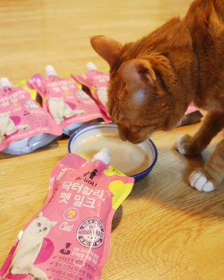 안젤라mj님이 올린 리뷰 사진 2