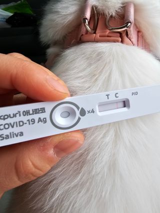케이퓨리 아나파코 코로나 타액 자가 진단키트 1회분 3개 — 5점을 준 리뷰어가 2023년 4월 올린 사용 사진