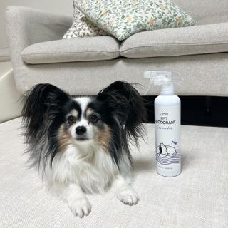 HaejinSeung님이 올린 리뷰 사진 4