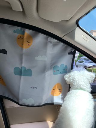 큐티윤님이 올린 리뷰 사진 2