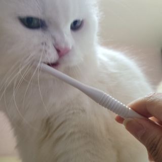 모모님이 올린 리뷰 사진 3