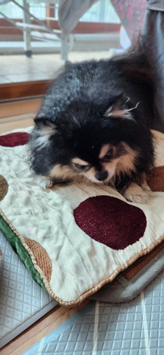 성욘님이 올린 리뷰 사진 4