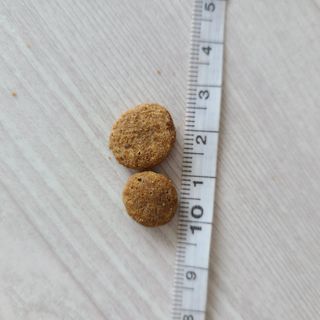 LunaHayes님이 올린 리뷰 사진 4