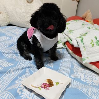쓔리님이 올린 리뷰 사진 3