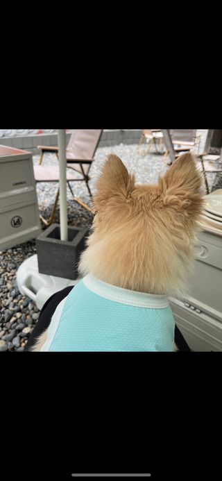 Lucy님이 올린 리뷰 사진 3