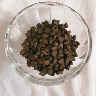 [푸디웜] 라포그  리얼인섹트 웨이트밸런스 저알러지 강아지 사료  1.2KG — 4.5점을 준 리뷰어가 2021년 7월 올린 사용 사진