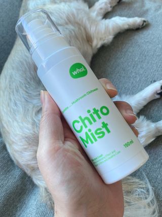 whol 키토미스트 150ml + 실리콘바디브러쉬  강아지 고양이 항균항바이러스, 강력탈취 피부 보습,무향 — 4.5점을 준 리뷰어가 2022년 9월 올린 사용 사진