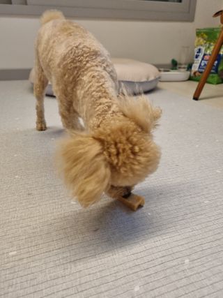 효효님이 올린 리뷰 사진 3