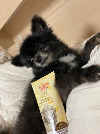 블리🥰님이 올린 리뷰 사진 4
