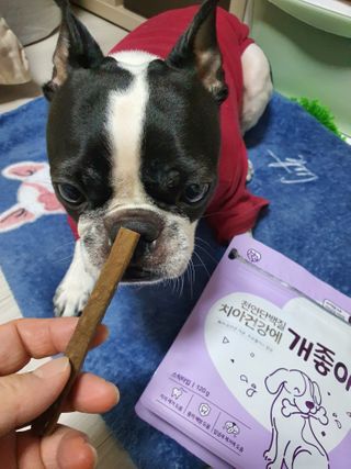 My Pet Care 천연단백질 치아건강에 개좋아 — 5점을 준 리뷰어가 2021년 2월 올린 사용 사진