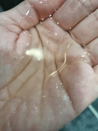 라로지크 X4 스케일링 퍼퓸 샴푸 1,000mℓ — 5점을 준 리뷰어가 2021년 12월 올린 사용 사진