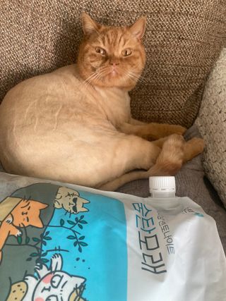 syjuknow님이 올린 리뷰 사진 4