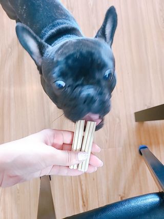 페페로니 2종 세트 클린플러스 덴탈껌 치킨+덕 — 5점을 준 리뷰어가 2021년 7월 올린 사용 사진