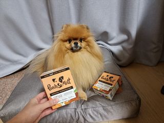아롱이님이 올린 리뷰 사진 2