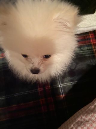 촵촵님이 올린 리뷰 사진 3