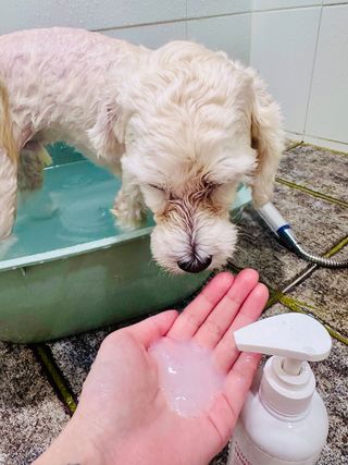 가드니아님이 올린 리뷰 사진 3