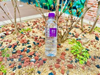 몽베스트 [MONTBEST]위드어스 500mL 20병 — 5점을 준 리뷰어가 2024년 3월 올린 사용 사진