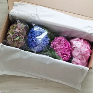 마시님이 올린 리뷰 사진 4