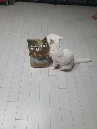 파비올라님이 올린 리뷰 사진 2