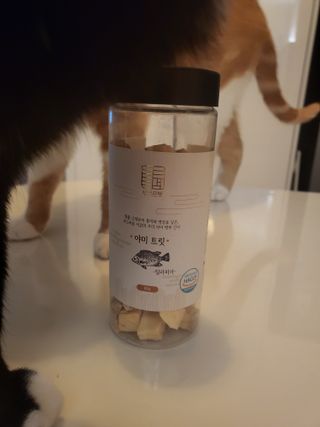 부르르펫 야미트릿 틸라피아 60g — 5점을 준 리뷰어가 2021년 11월 올린 사용 사진