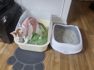 형통맘님이 올린 리뷰 사진 4