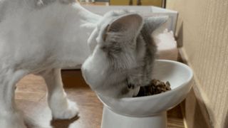 밍키님이 올린 리뷰 사진 2