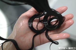 랑구마미님이 올린 리뷰 사진 2