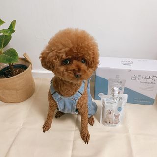 조이님이 올린 리뷰 사진 1