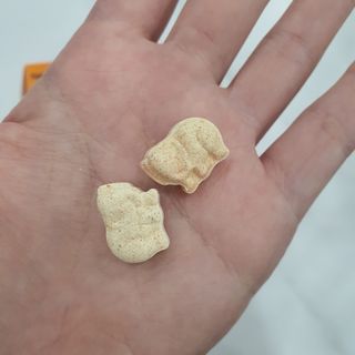 네이처스플러스 애니멀퍼레이드 면역 아연 (60정) — 5점을 준 리뷰어가 2022년 10월 올린 사용 사진