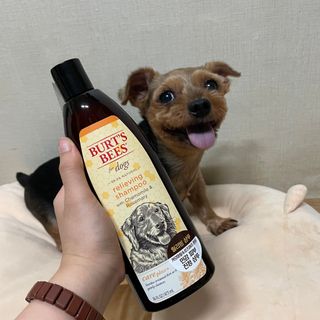 세지니힛님이 올린 리뷰 사진 1