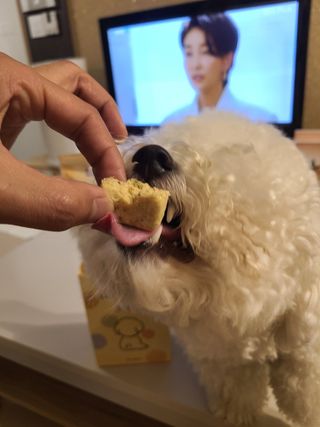 펫에이블 데일리바이트 키토 [비프], [치킨] — 5점을 준 리뷰어가 2021년 9월 올린 사용 사진