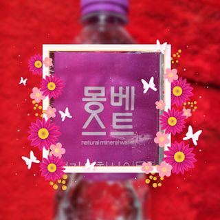 몽베스트 [MONTBEST] 330mL 20병 — 5점을 준 리뷰어가 2021년 10월 올린 사용 사진