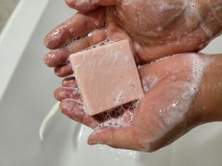 소담스퀘어 상암 주식회사 에코스터프 펫버디 반려동물 마누카 검은콩 프로틴 샴푸바 — 5점을 준 리뷰어가 2022년 12월 올린 사용 사진
