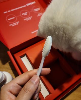 [자유펫] 고양이 턱드름 여드름 예방 및 제거 세트, 블랙씨드케어박스 — 5점을 준 리뷰어가 2021년 10월 올린 사용 사진