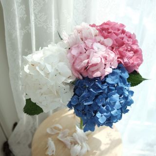 리자몽님이 올린 리뷰 사진 3