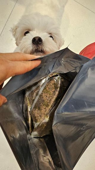 쏘이님이 올린 리뷰 사진 2