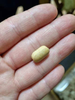 뉴트리션팩토리 비타프렙 바이탈원 종합비타민 멀티비타민 600mg — 5점을 준 리뷰어가 2021년 8월 올린 사용 사진
